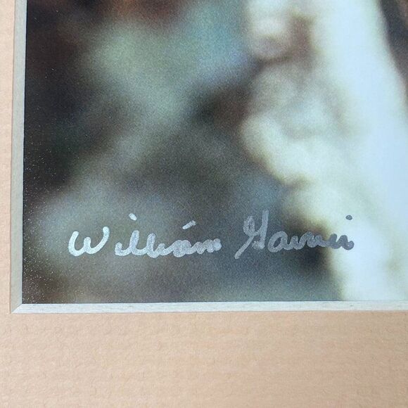 Egret Ibis Bird in Nature Scenic 8x10 Matted Photo In 11x14  Signed By Artist - Picture 2 of 2